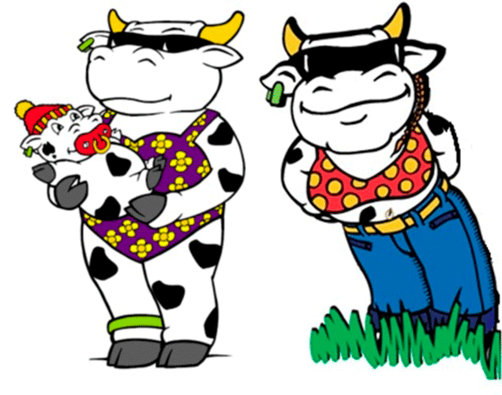 Two-cows-L